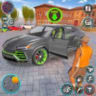 大驾校模拟器 2.3 官方版