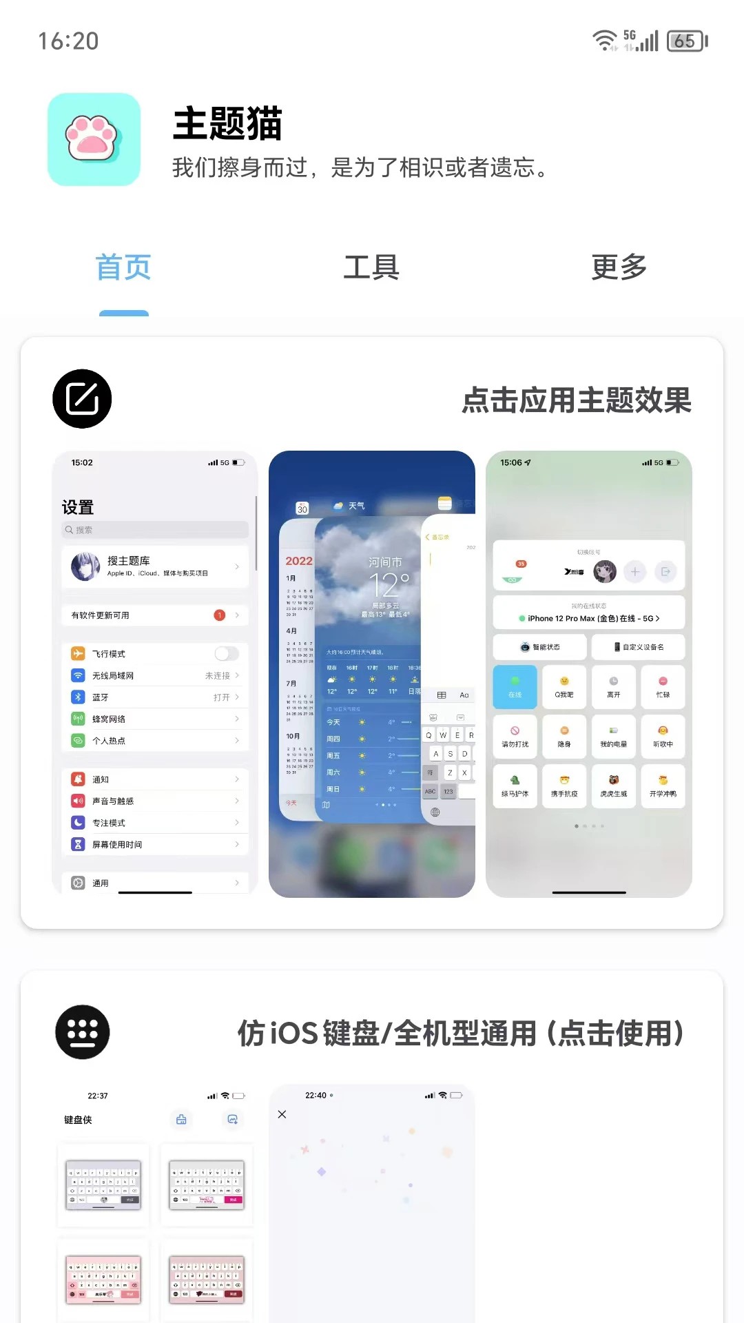 主题猫2026最新版