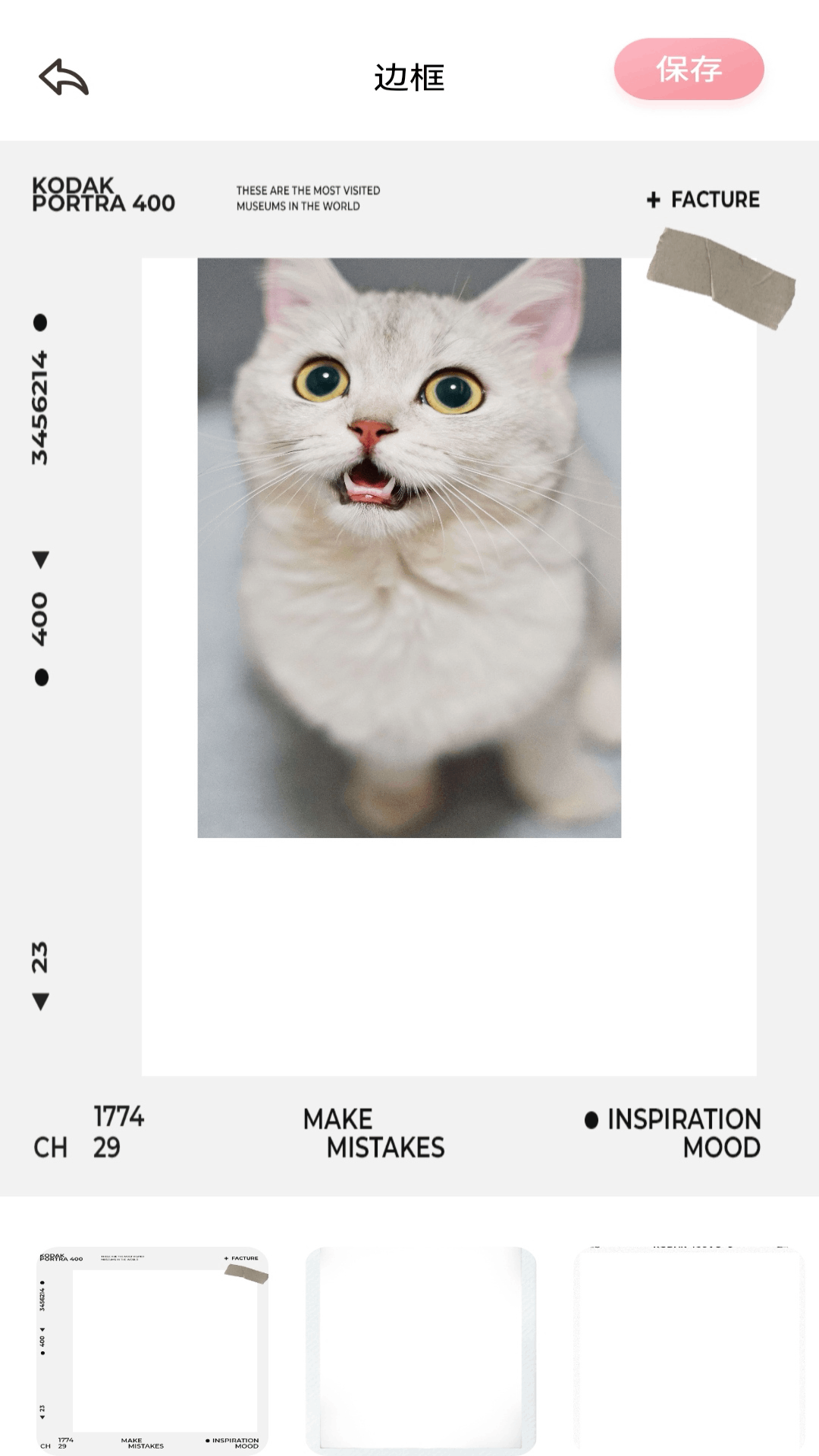 淘露官网app最新版本