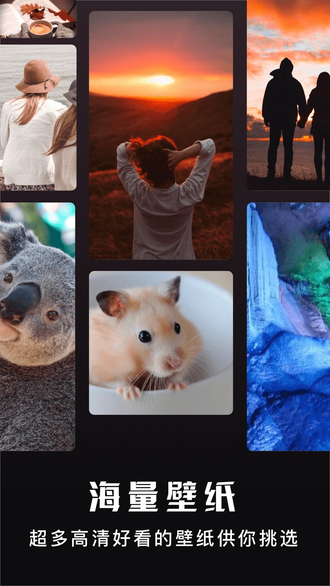 主题盒2026最新版