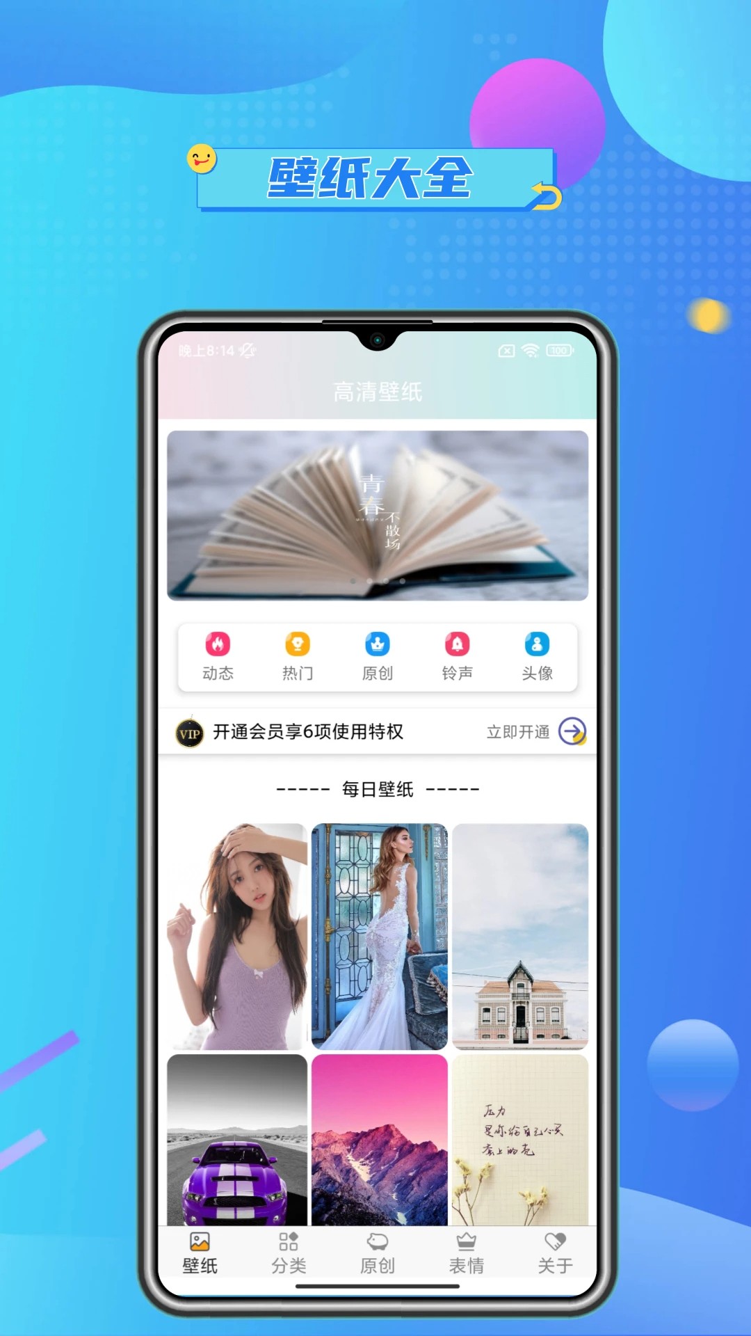 壁纸主题大全免费版