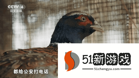 海燕直播tv版 4.2.0 安卓版