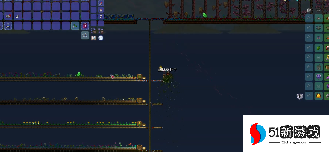 泰拉瑞亚丛林草种子怎么获得