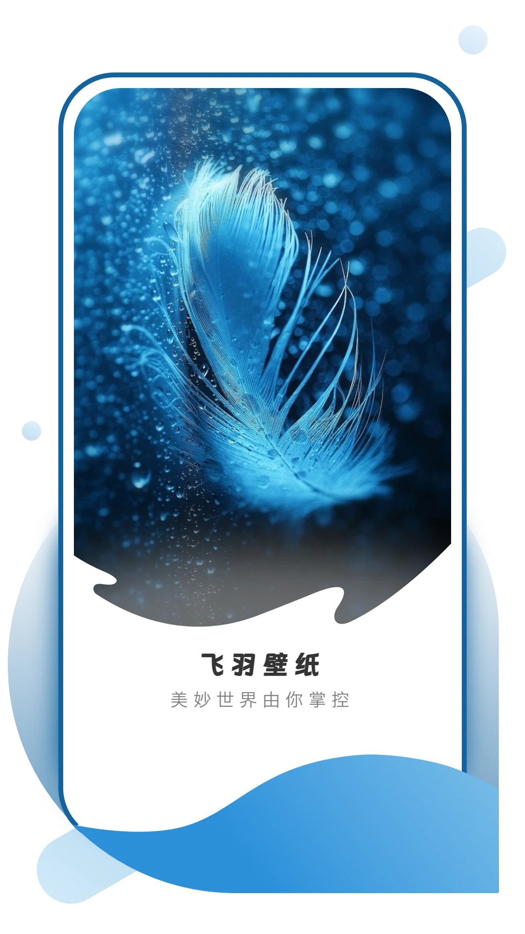 飞羽壁纸高清图片