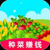 幸运农场种菜 1.0.0 安卓版