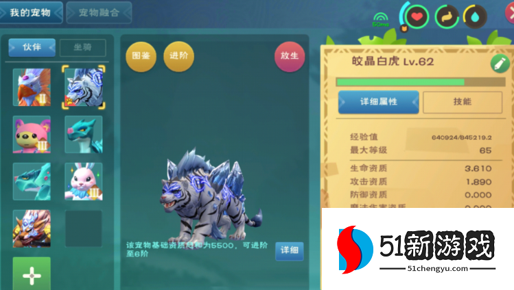 创造与魔法白虎怎么合稳6阶 创造与魔法白虎怎么合稳6阶