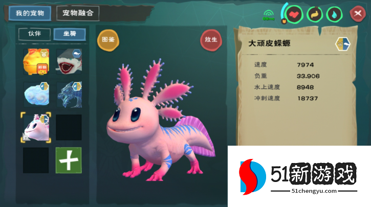 创造与魔法顽皮蝾螈位置在哪里