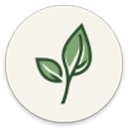 LeviLauncher2026最新版