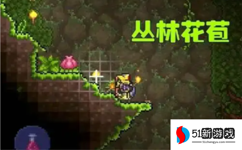 泰拉瑞亚如何找花苞