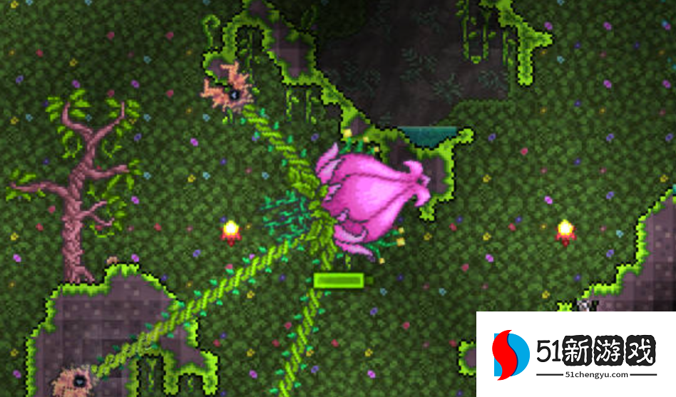 泰拉瑞亚如何找花苞