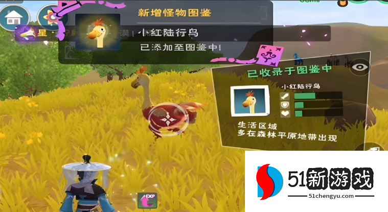 创造与魔法陆行鸟怎么抓