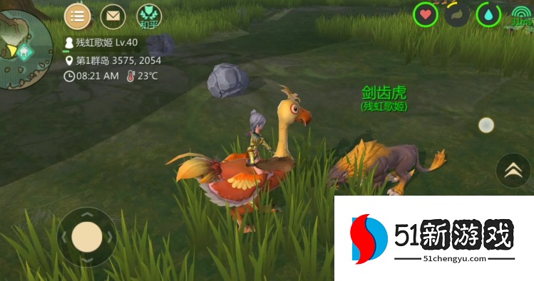 创造与魔法陆行鸟怎么抓 创造与魔法陆行鸟怎么抓