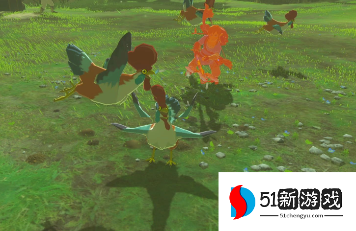 塞尔达传说荒野之息咕咕鸡任务怎么接 塞尔达传说荒野之息咕咕鸡任务怎么接