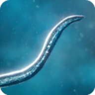 孢子模拟器 56.40 手机版