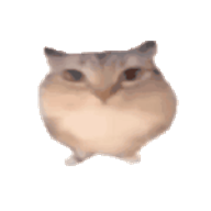 巴巴博一 1.0 安卓版