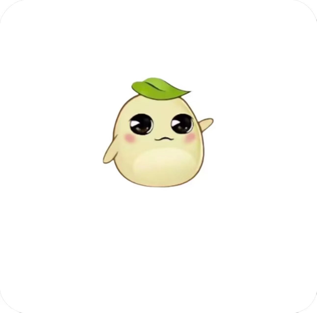 毛豆直装V6.0科技