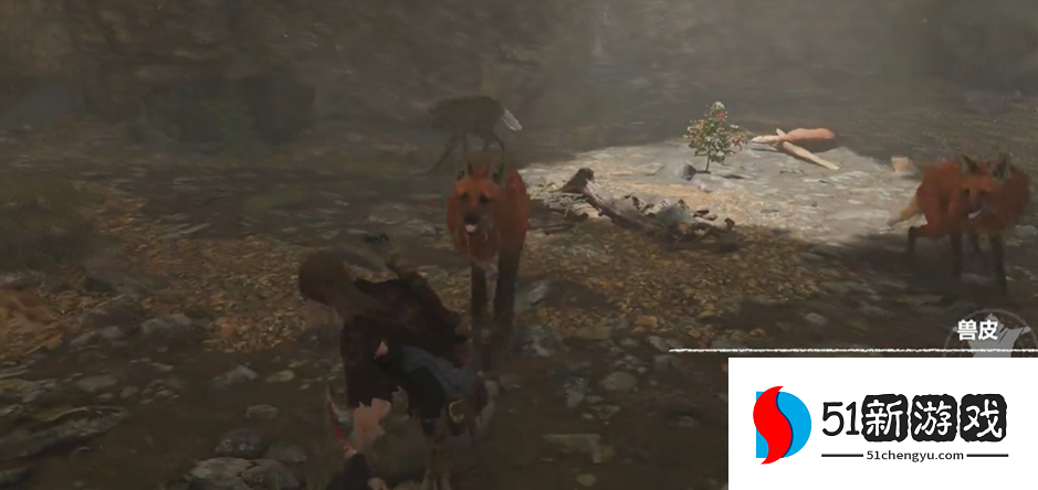 古墓丽影暗影蛇心双墓怎么玩