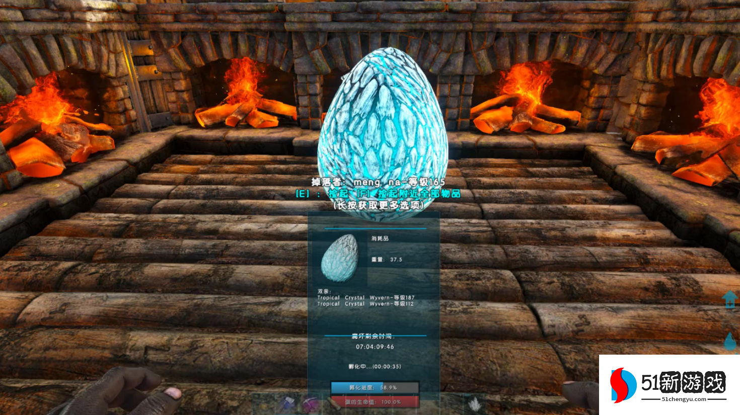 方舟生存进化怎么养小恐龙