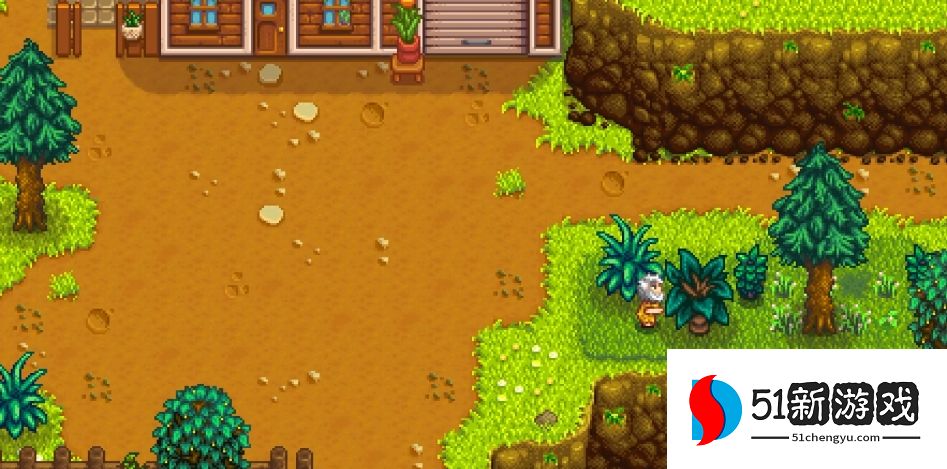 星露谷物语流浪汉在哪