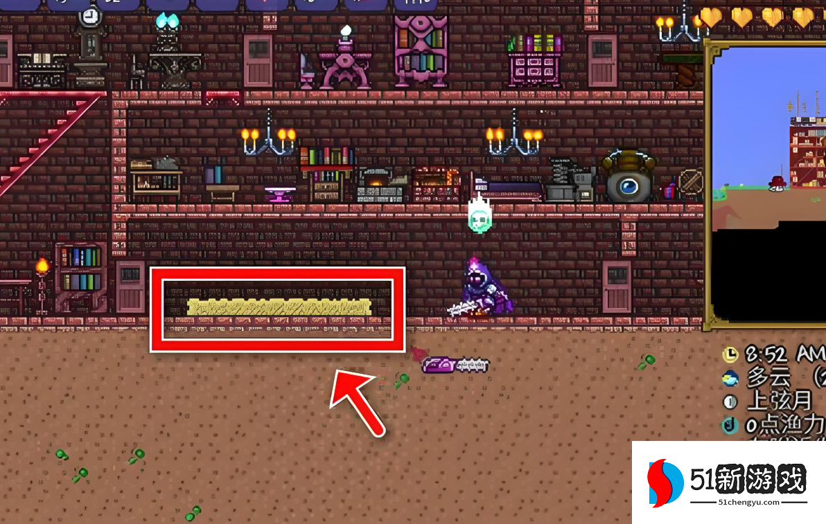 泰拉瑞亚里的幌菊哪个地方多