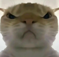 寻宝鼠辅助器免费版