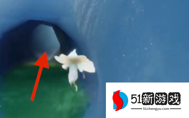光遇圣岛季爬山先祖怎么过