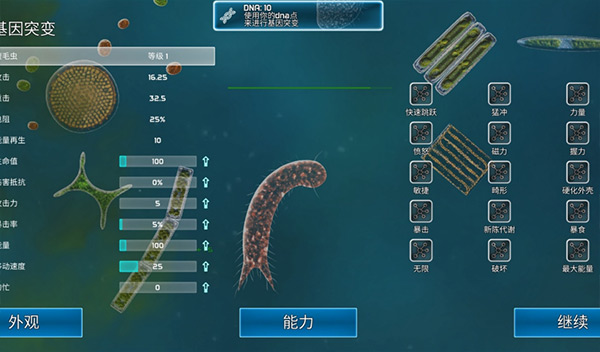 孢子的起源
