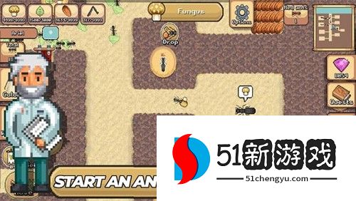 口袋蚂蚁:殖民地模拟器