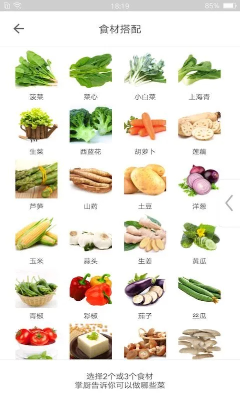 掌厨免费版