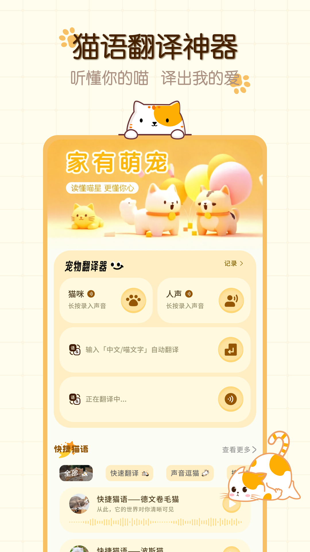 猫咪语言
