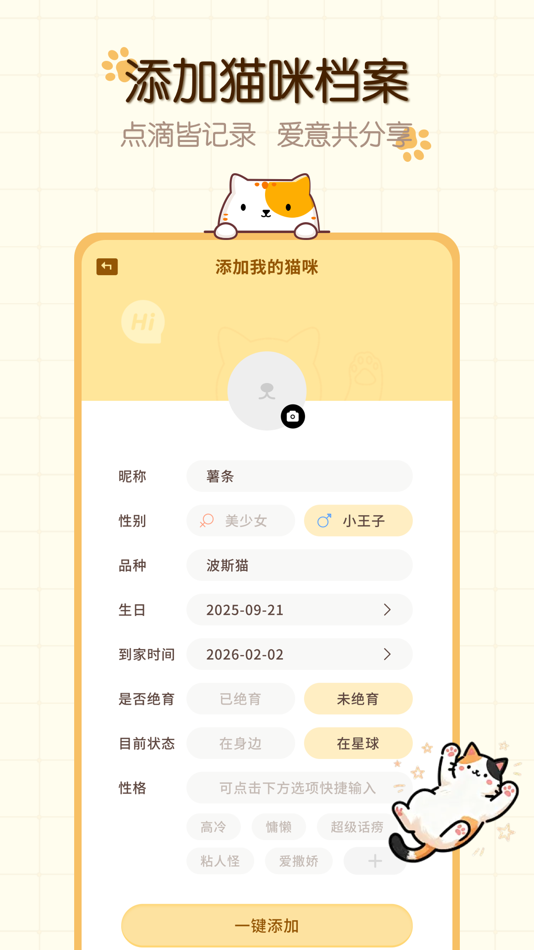 猫咪语言