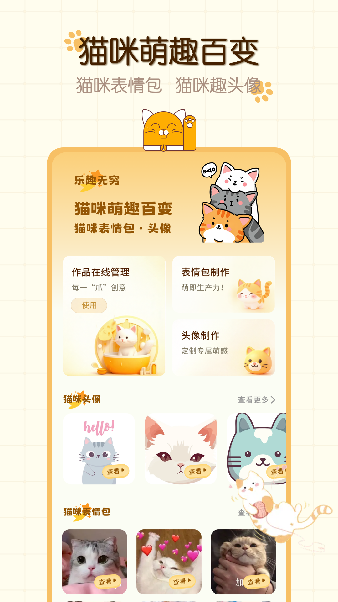 猫咪语言