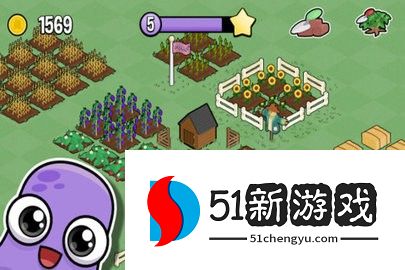 我的农场