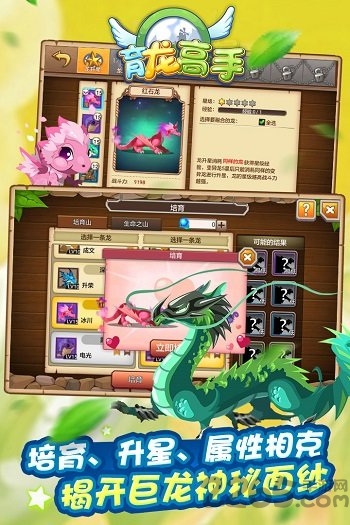育龙高手