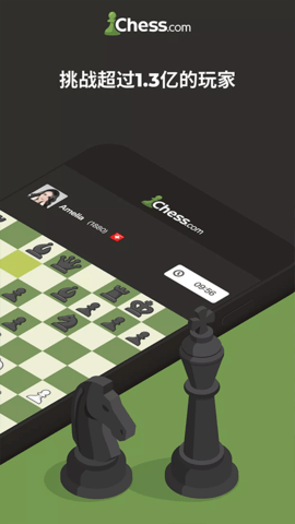 国际象棋