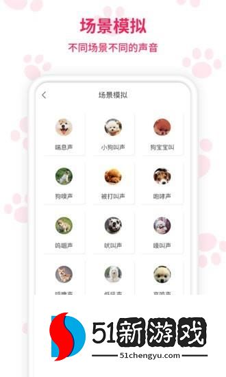 动物翻译器